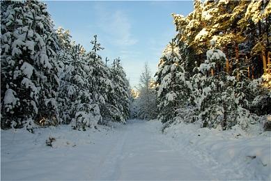 冒险游戏《OPUS：心相吾山》新宣传片 发售日待定